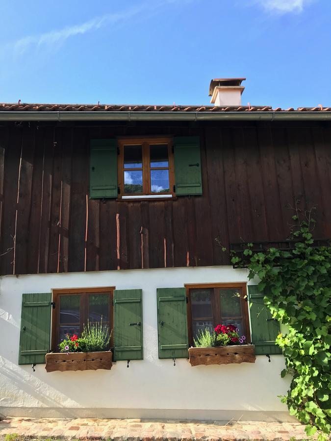 Chalet Alpenrose Schwangau Eksteriør billede