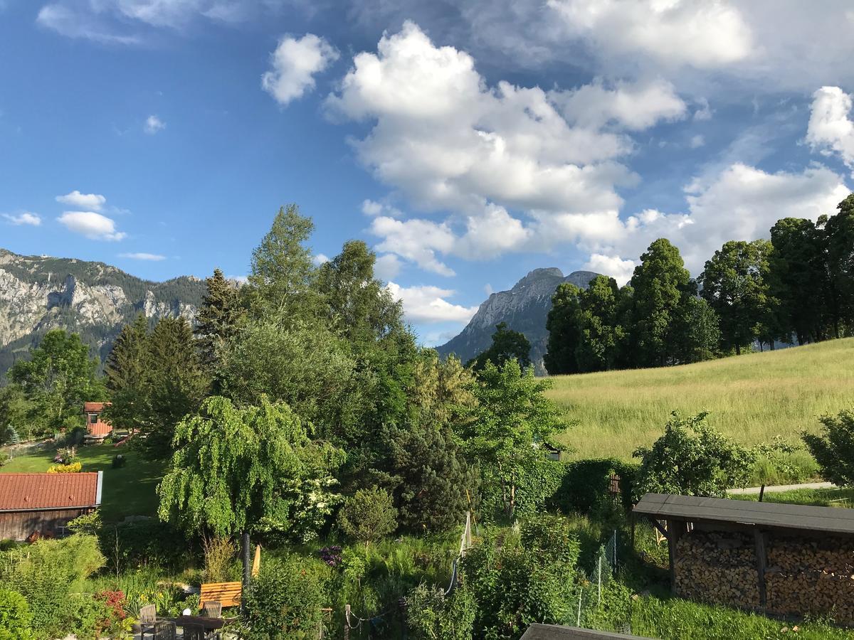 Chalet Alpenrose Schwangau Eksteriør billede